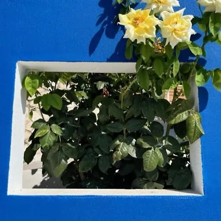 ヴィラ Floribella